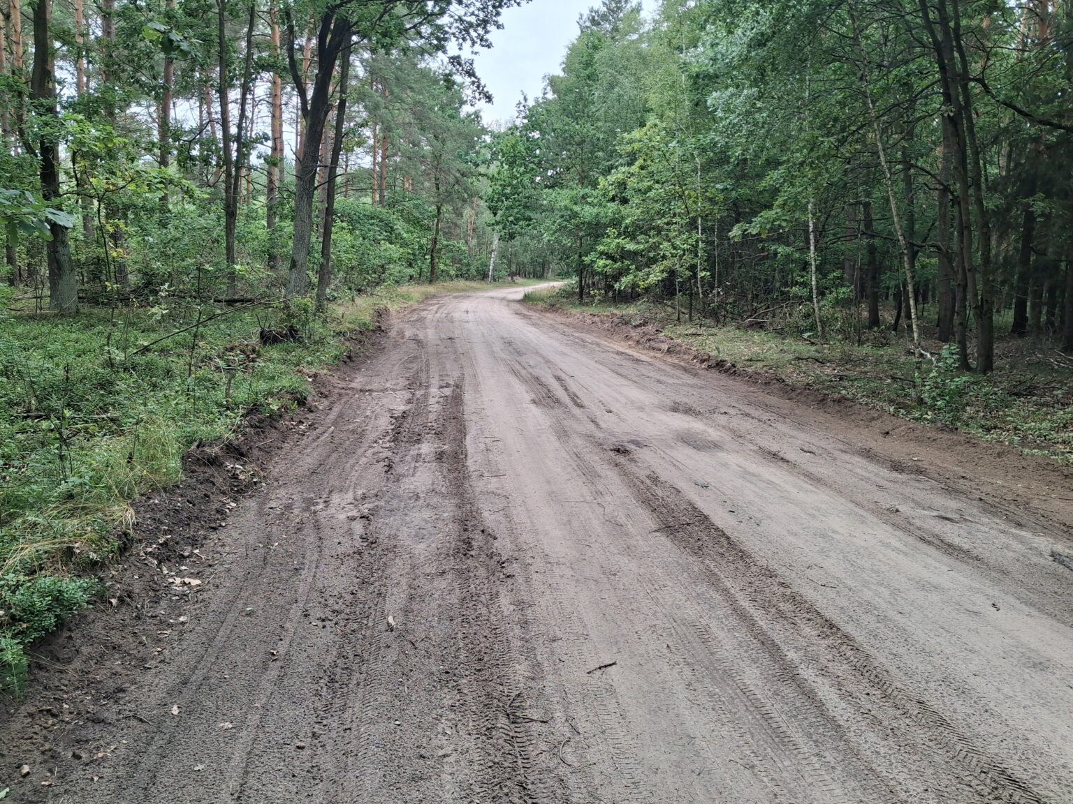 Budowa drogi powiatowej nr 1566 L (od drogi woj. 813- Ostrów  Lub. – Stara Jedlanka – (Sosnowica).